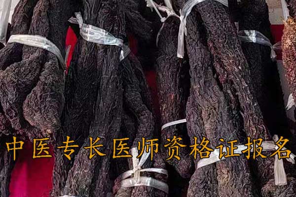 烟台中医专长医师资格证在哪里报名