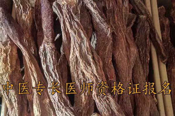 湖州中医专长医师资格证考试培训