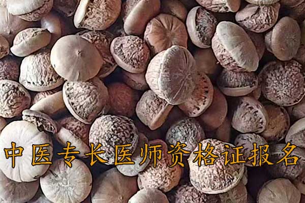 盐城中医专长医师资格证报名费多少钱