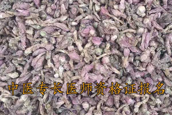 深圳师承中医培训学校学费