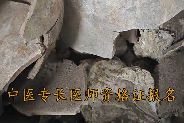 江门中医专长医师资格证怎么报名