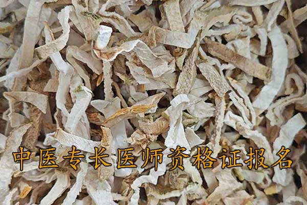 济宁中医专长医师资格证考试培训