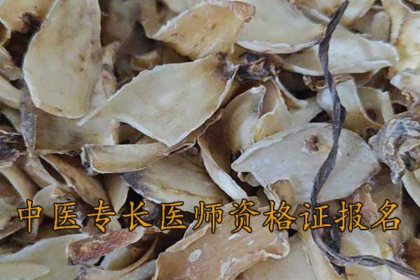 莆田中医专长医师资格证报名费多少钱