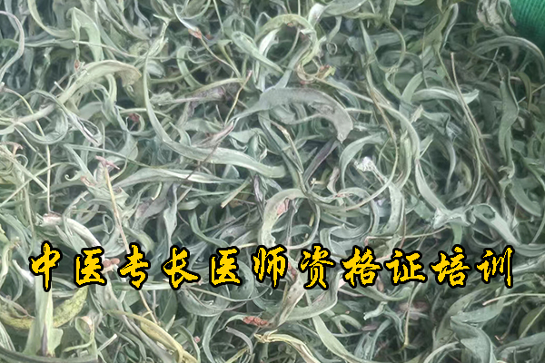 宜昌中医专长医师资格证报名费多少钱