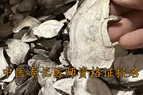 邯郸中医专长医师资格证在哪里报名