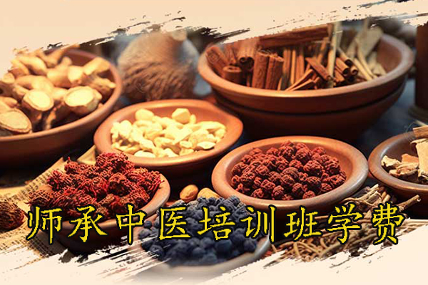 广东师承中医培训机构学费多少