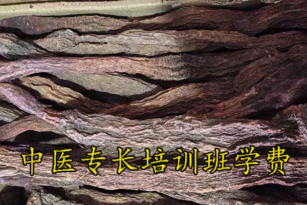 阜阳中医专长医师资格证怎么报名