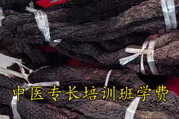 南阳中医专长医师资格证在哪里报名