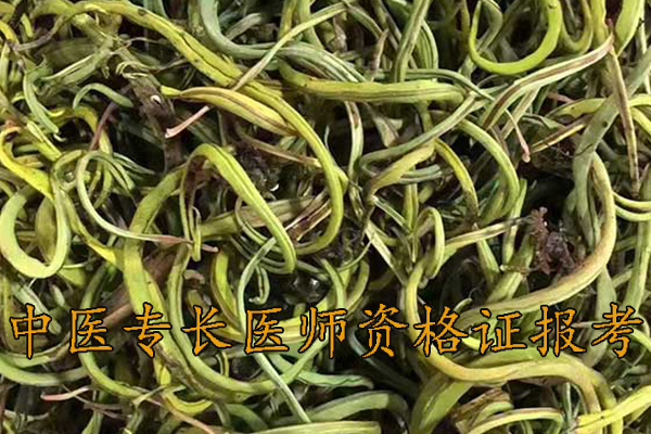 肇庆中医专长医师资格证报名机构