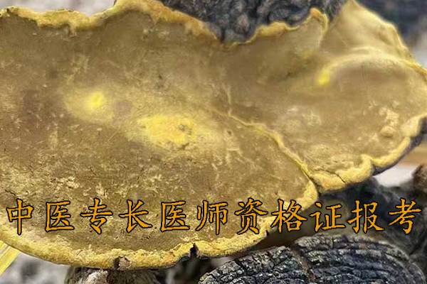 清远中医专长医师资格证在哪报名