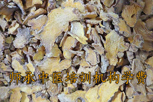 泉州师承中医培训学校学费