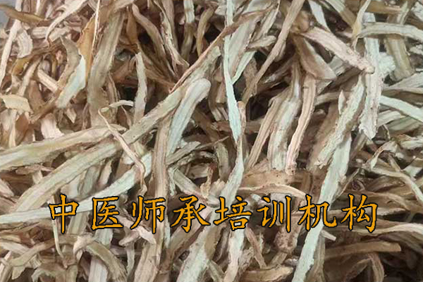 揭阳中医师承培训价格