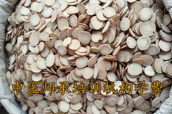 三亚中医师承3年5年培训费用