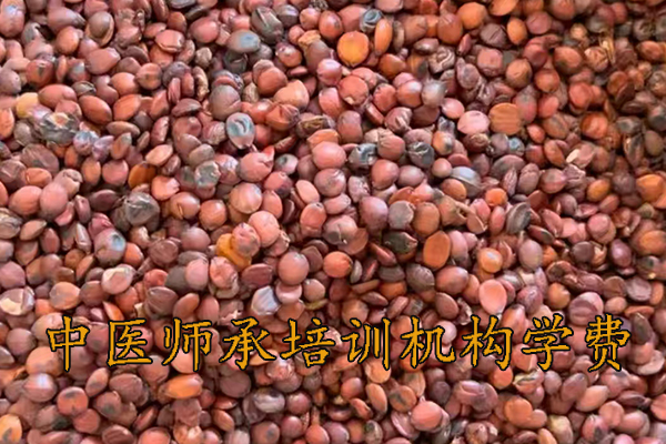 遵义中医师承培训学校学费