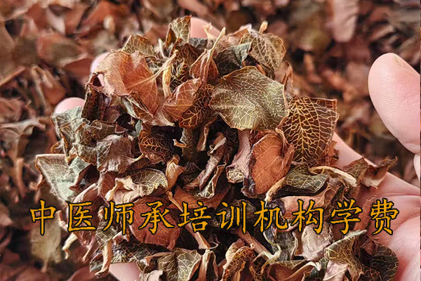 江门中医师承培训机构学费多少