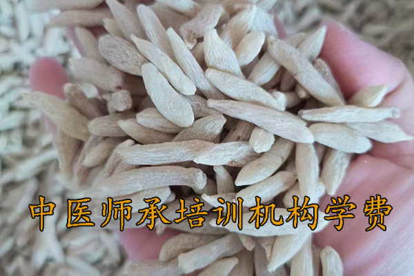 济宁中医师承培训多少钱