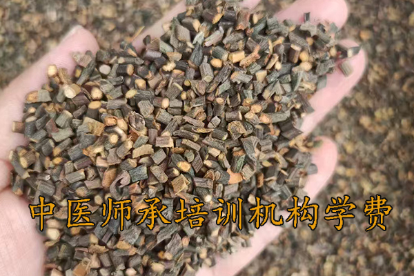 莆田中医师承培训价格