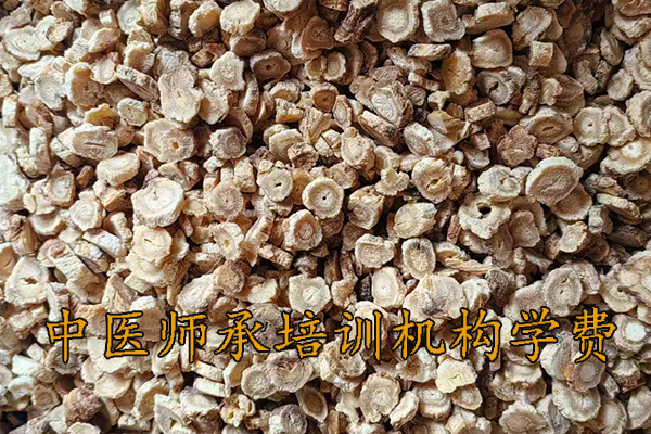 湛江中医师承3年5年培训费用