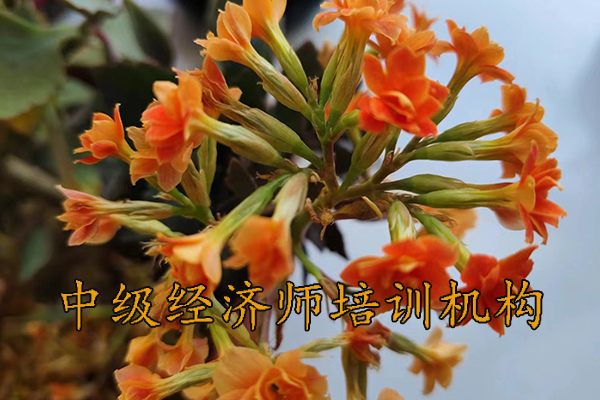 太原中级经济师报名费用多少