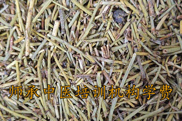 淮安中医师承培训机构学费多少