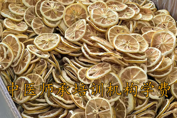 咸阳中医师承3年5年培训费用