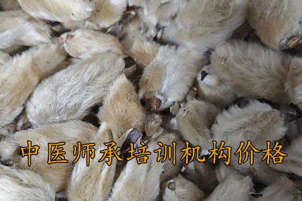 株洲中医师承培训学校学费