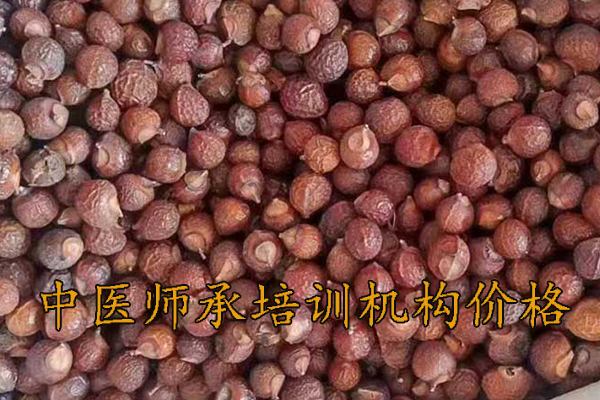 南阳中医师承培训多少钱