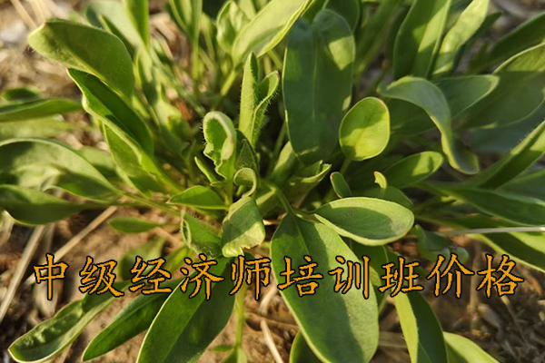 兰州中级经济师考场在哪里