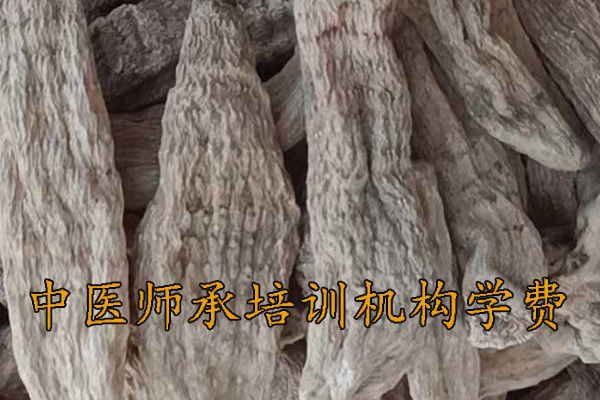 襄阳中医师承培训价格