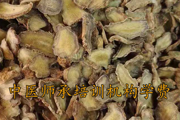 沧州中医师承培训学校学费