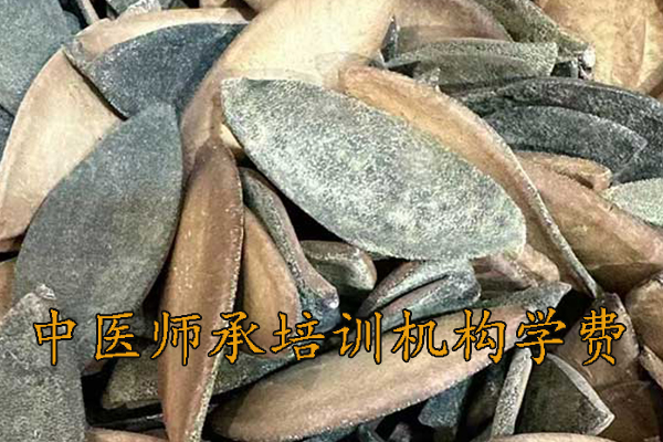 商丘中医师承培训价格