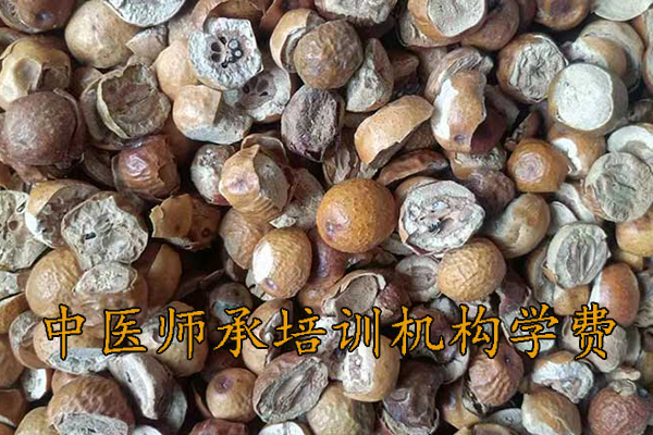 清远中医师承培训学校学费