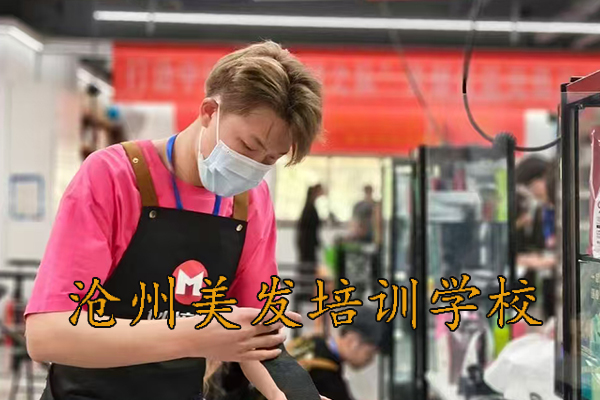 沧州港泰学美发学费需要多少