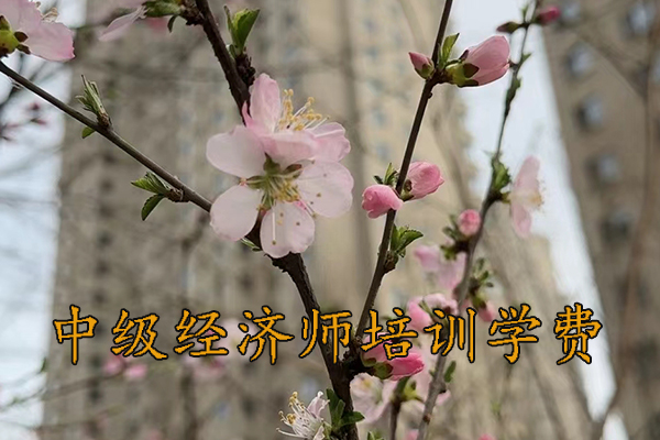 常州中级经济师培训班价格