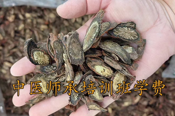 重庆中医师承培训班招生