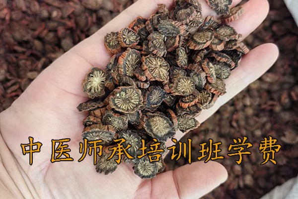 石家庄中医师承培训班招生