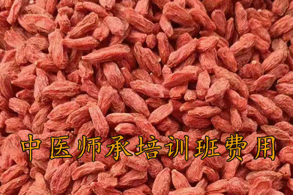 厦门中医师承培训班正规机构