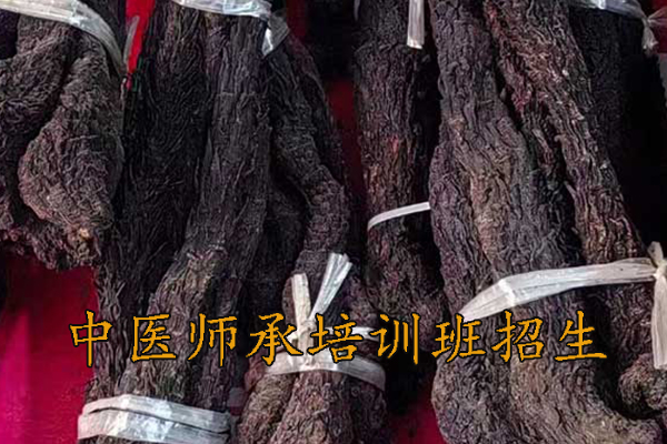 嘉兴中医师承培训班哪家好