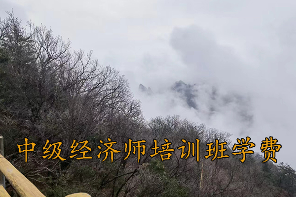 泰安中级经济师考试科目