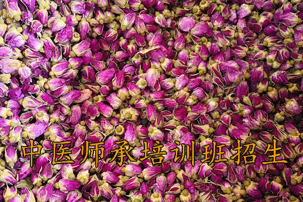 漳州中医师承培训班费用多少