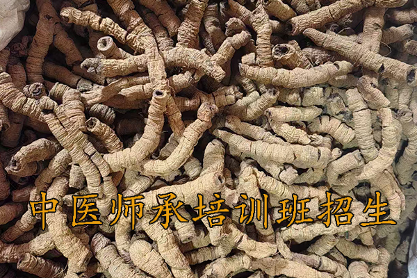 临沂中医师承培训班正规机构