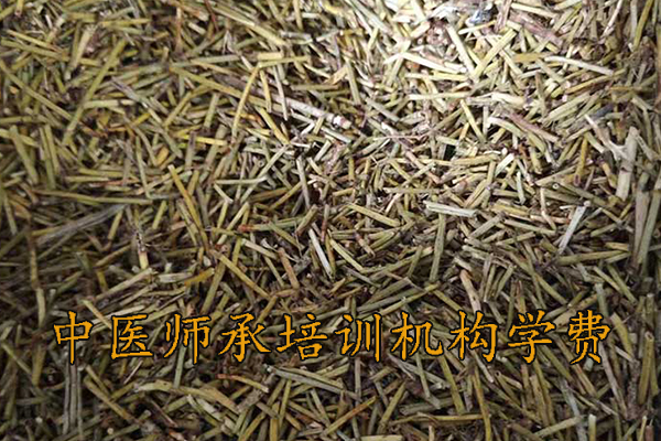 廊坊中医师承培训班正规机构