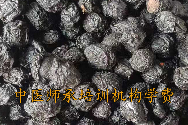 芜湖中医师承培训班哪家好