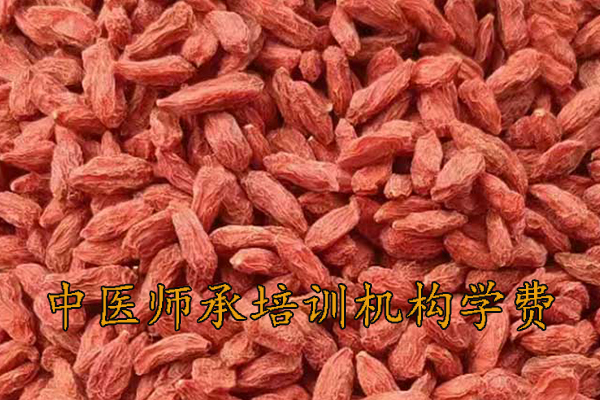 桂林中医师承培训班费用多少