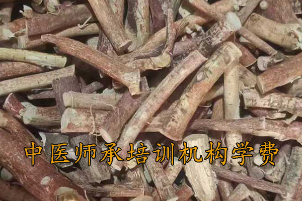 揭阳中医师承培训班招生