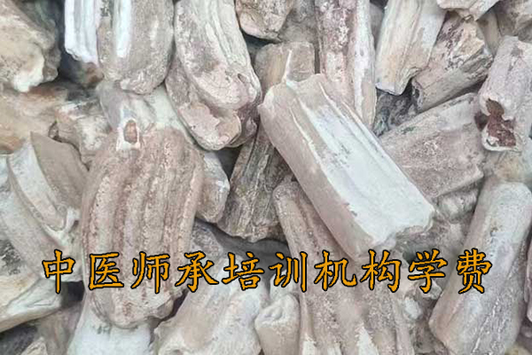 三亚中医师承培训班正规机构