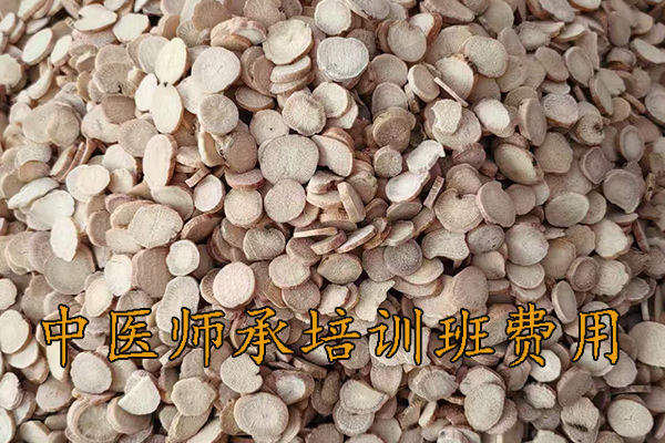 遵义中医师承培训班哪家好