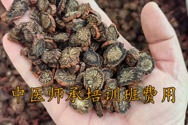 江门中医师承培训班费用多少