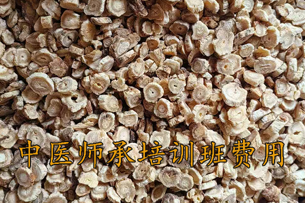 济宁中医师承培训班招生