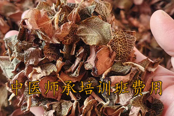 莆田中医师承培训班正规机构